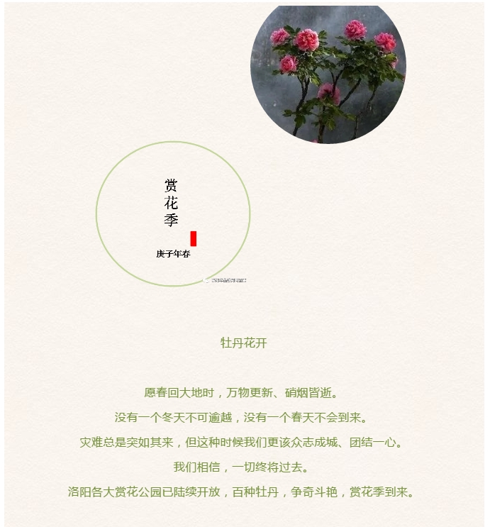 QQ图片20200416113611.png